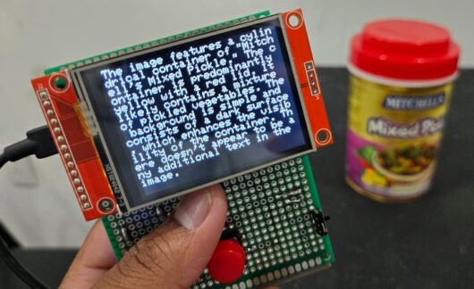 AMB82-Mini Embedded AI Vision - Capture Image & Analyze