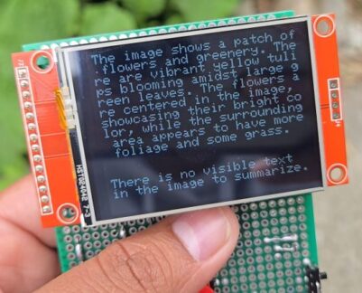 AMB82-Mini Embedded AI Vision - Capture Image & Analyze